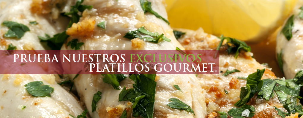 Prueba nuestras nuevas comidas