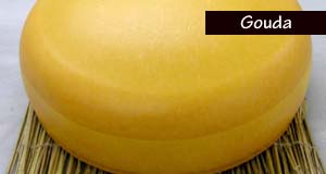Queso Gouda