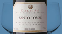 Calviñe